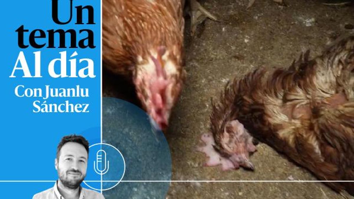 ???? PODCAST | La granja de los horrores