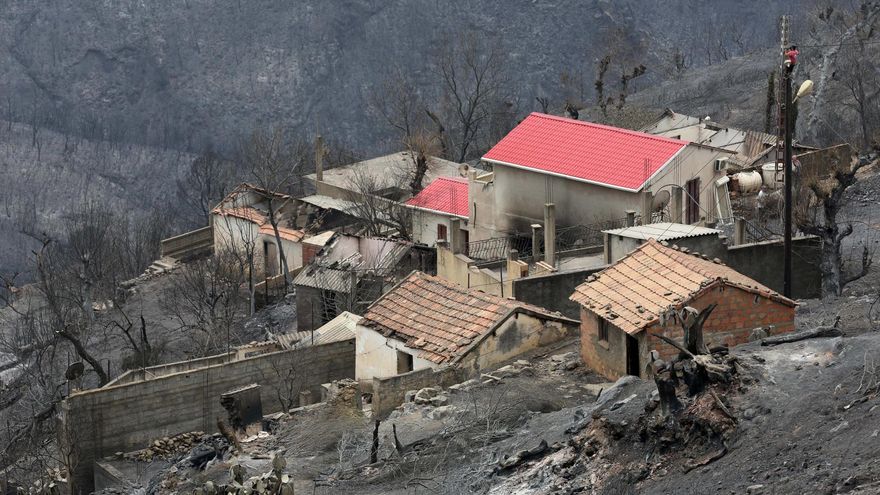 En verano, los incendios son frecuentes en Argelia, un país con cuatro millones de hectáreas de bosques, donde los incendios dejaron en 2022 al menos 38 muertos y 160 heridos.