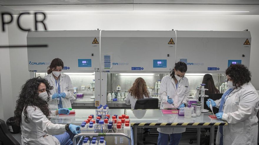 Crecimiento “récord” de la investigación sanitaria en Castilla-La Mancha, según el IDISCAM