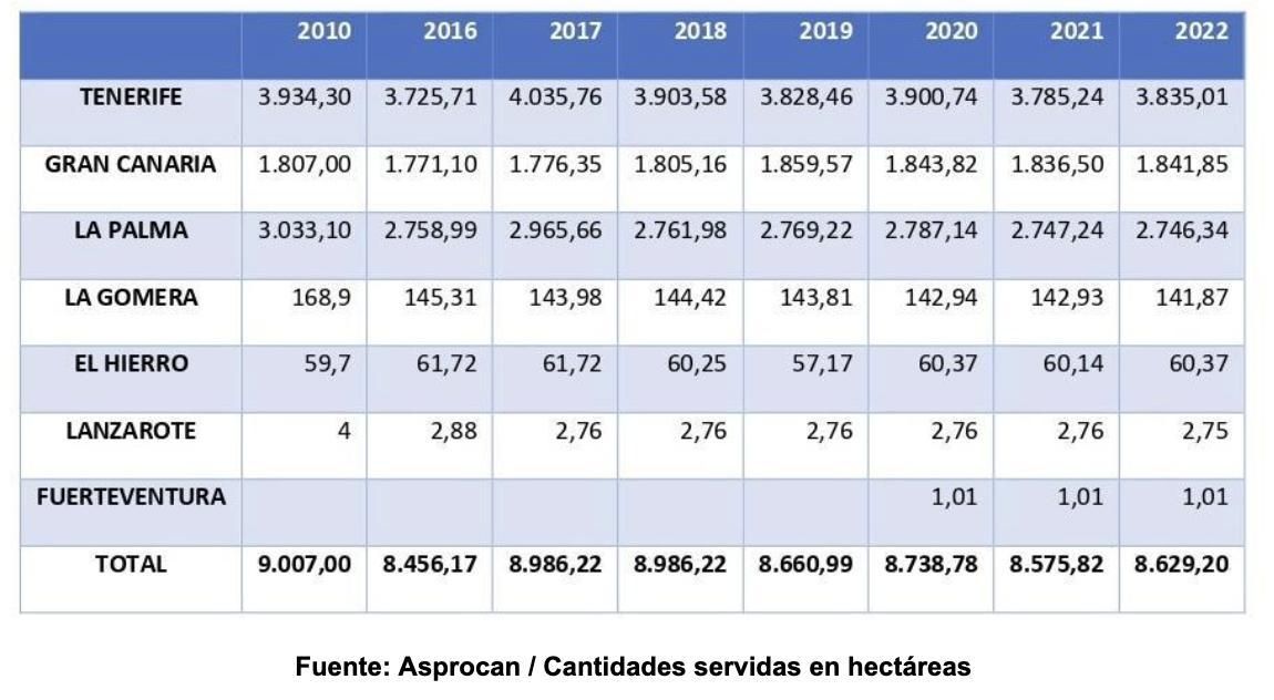 Evolución de la superficie de producción.