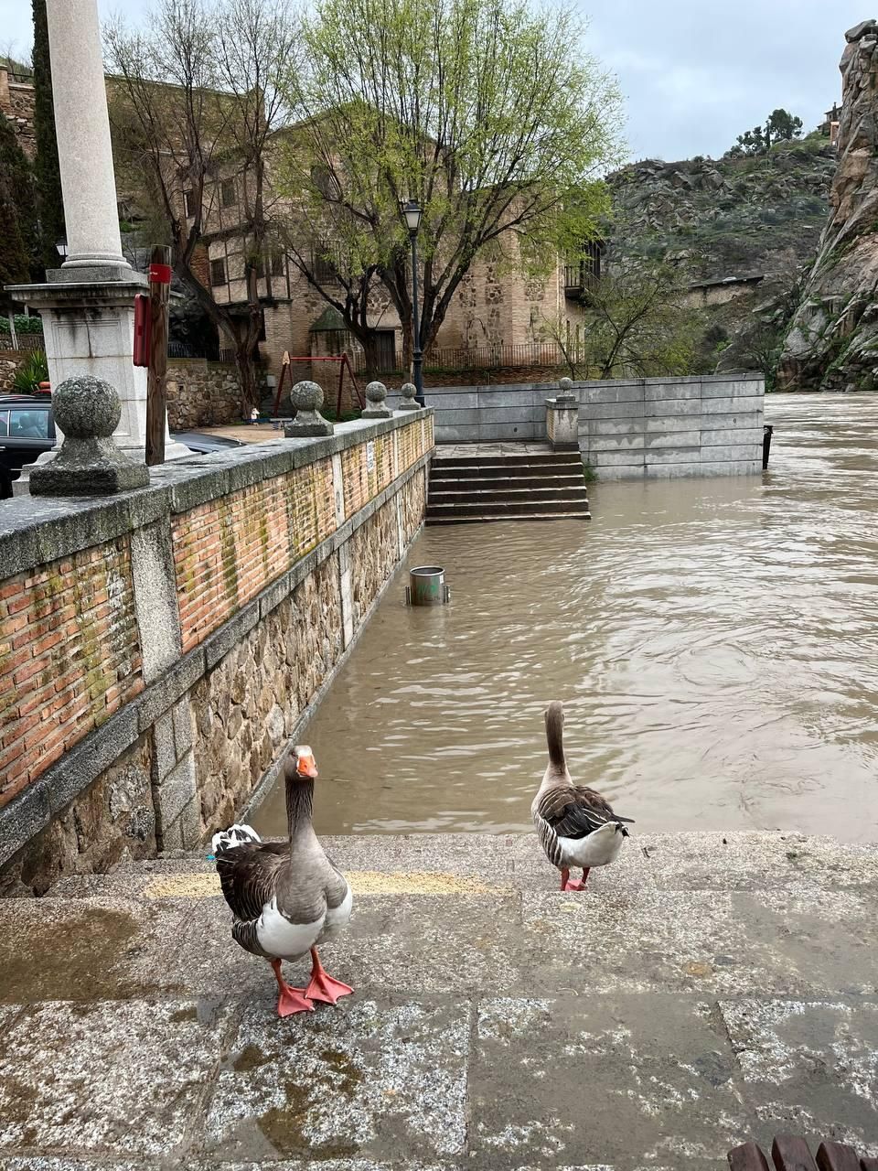 La crecida del río Tajo a su paso por Toledo tras la borrasca Jana, en imágenes