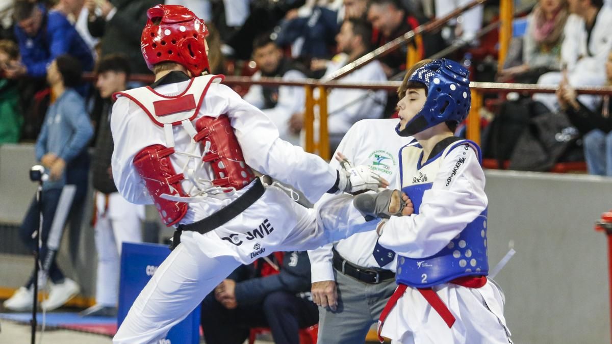 Open internacional de Andalucía de Taekwondo y Copa Iberdrola
