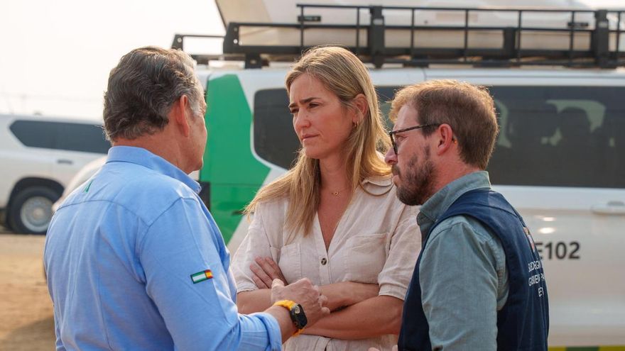 La vicepresidenta del Gobierno y ministra para la Transición Ecológica y el Reto Demográfico, Sara Aagesen