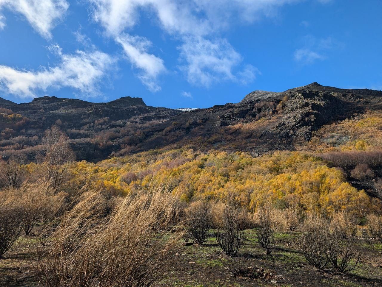 El Lago de la Baña tres meses después de ser arrasado por el fuego