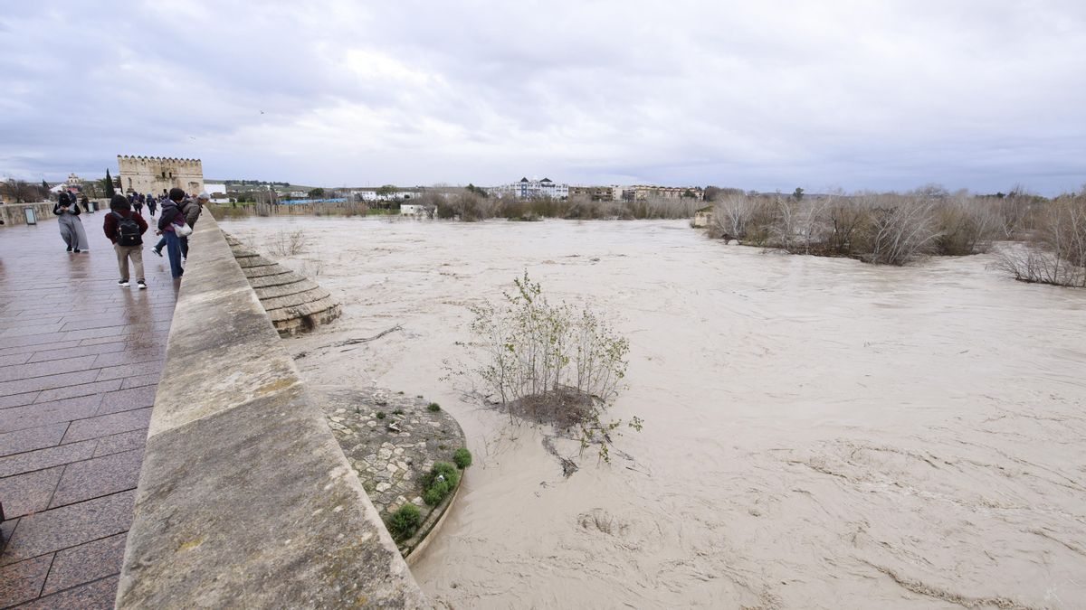 El río Guadalquivir aumenta su caudal a su paso por Córdoba