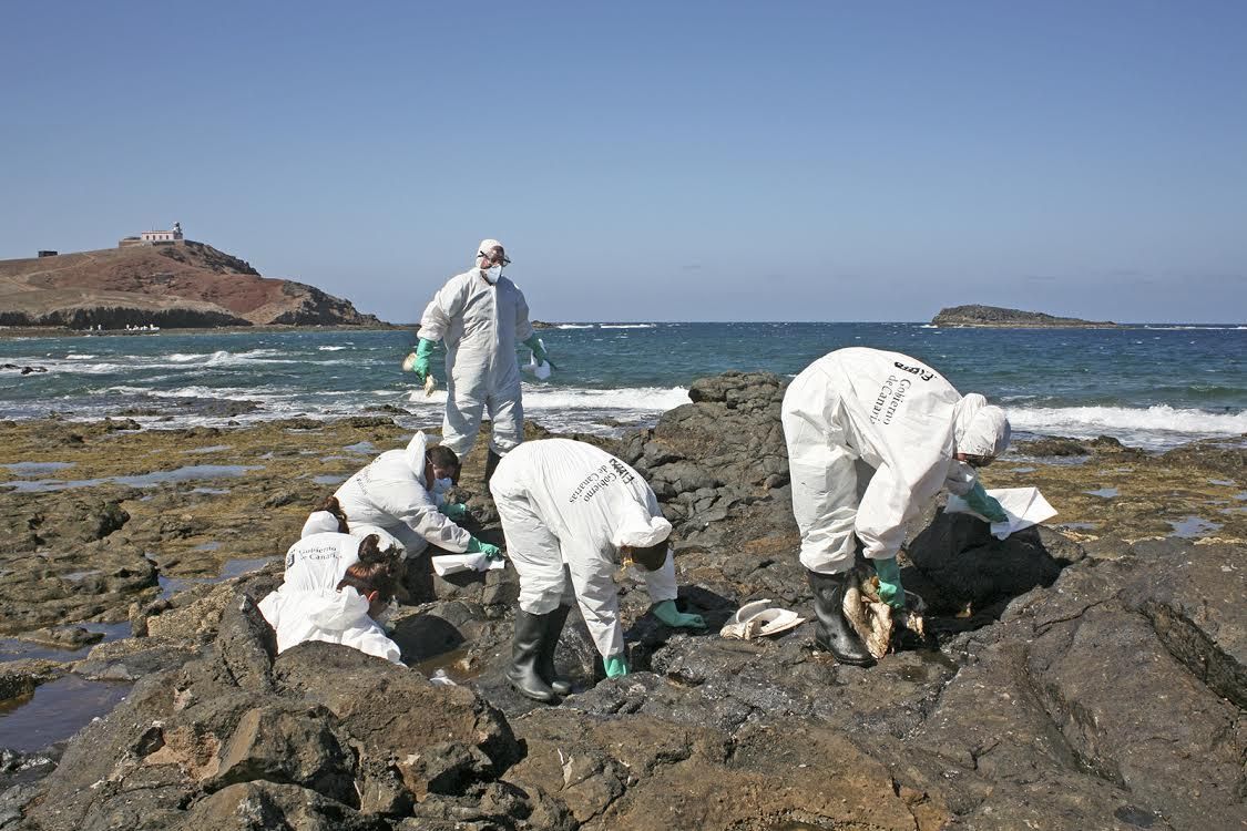 Trabajos de limpieza del vertido de fuel en la playa de Arinaga. (ALEJANDRO RAMOS)