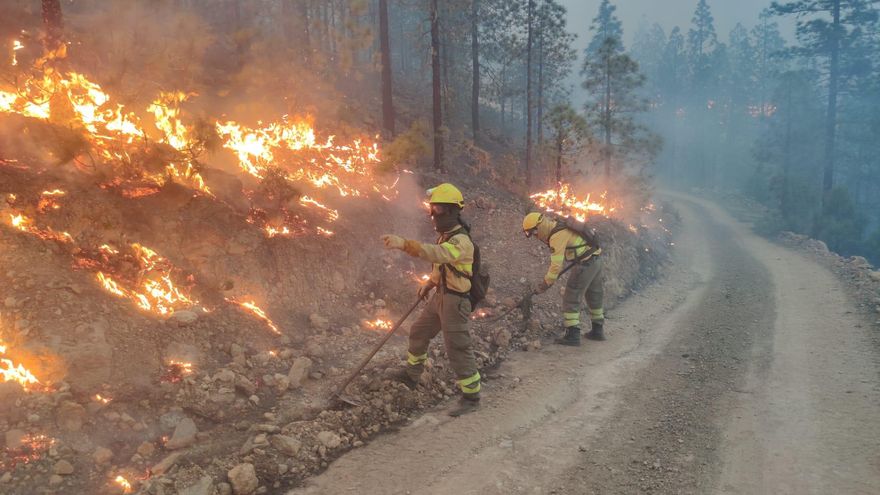 Operarios de BRIFOR trabajando en la extinción del incendio de Arico