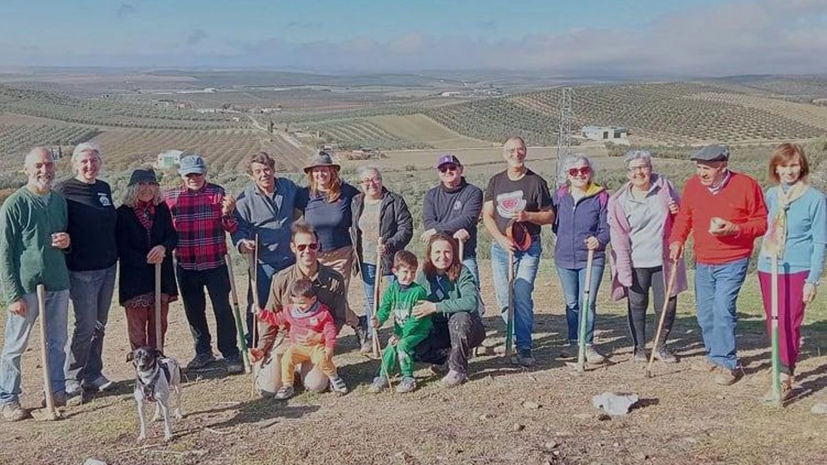 Actividad de reforestación