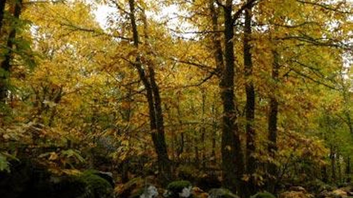 El otoño es una época perfecta para realizar esta ruta