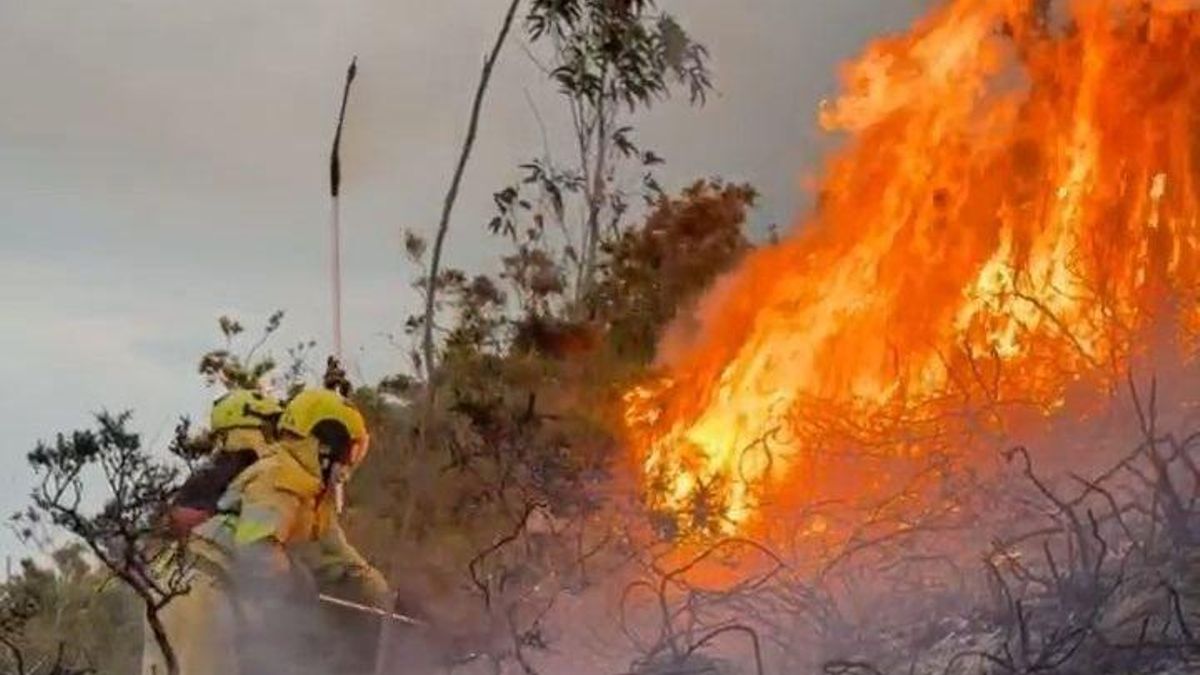 Cantabria tiene cinco incendios forestales activos en Vega de Liébana, Arenas de Iguña, Arredondo, Corvera de Toranzo y Selaya