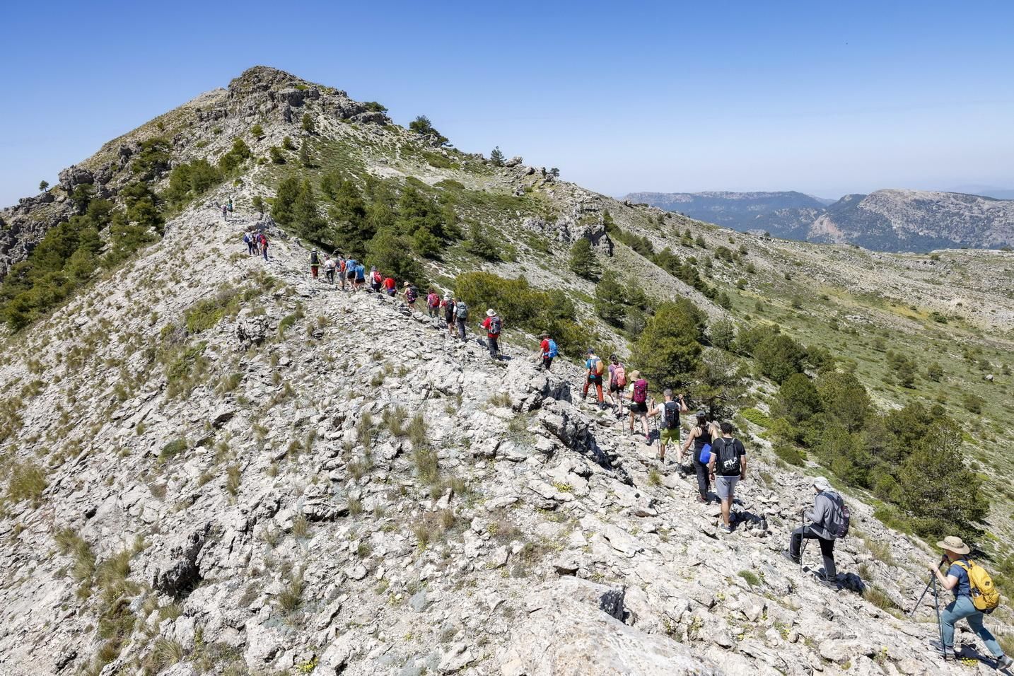 Participantes en una de las rutas de senderismo por las montañas de Albacete