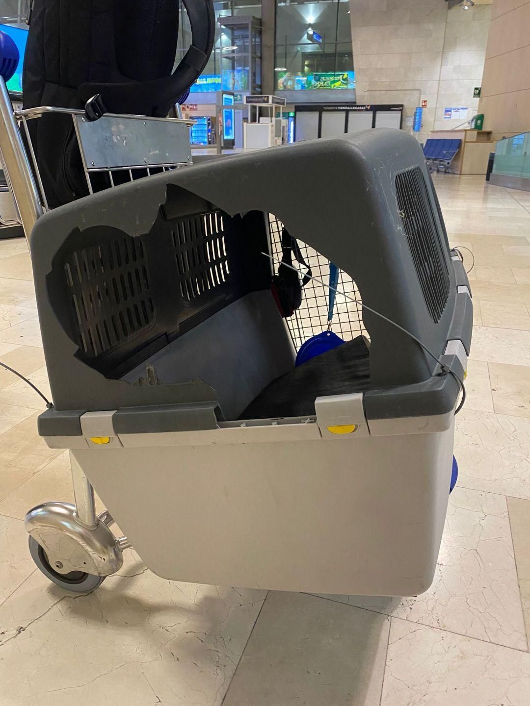 Transportín roto vacío