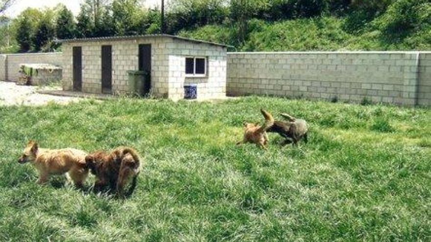 Protectora de Laciana.