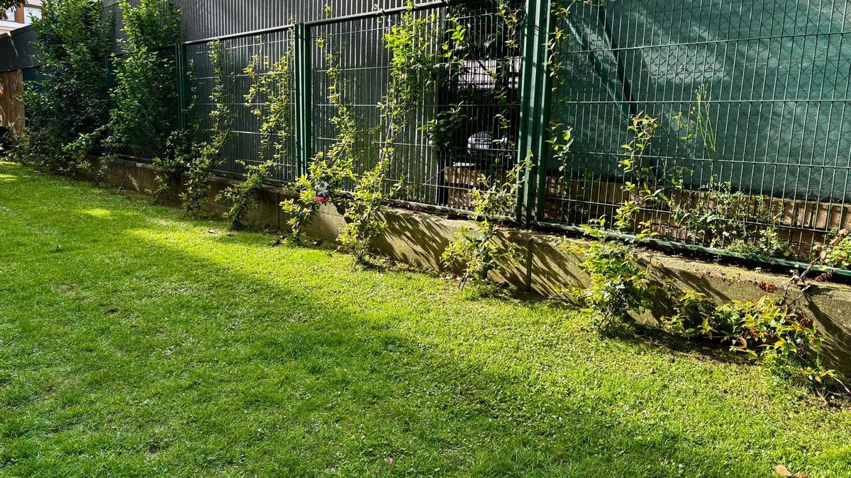 El pasado curso plantaron más de 150 plantas