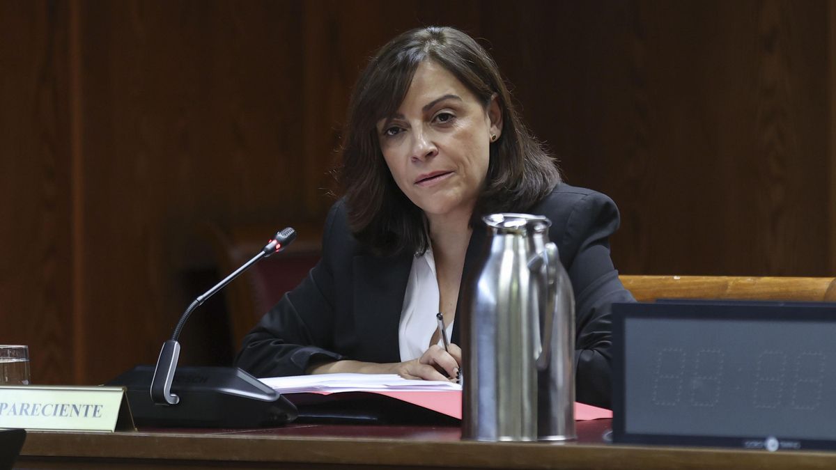 La gerente del PSOE, Ana Fuentes, en su declaración en el Senado.