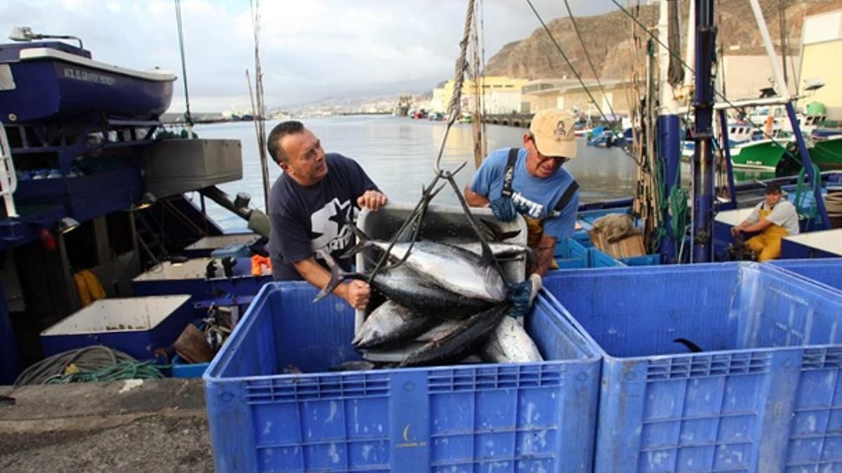 Desesperación en el sector pesquero canario por otro retraso en el pago de ayudas europeas