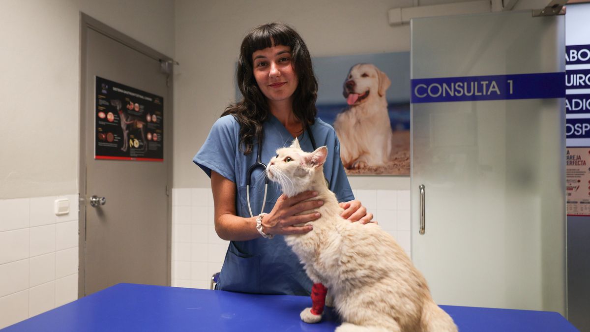 Sara, en consulta, con uno de los gatos que atiende
