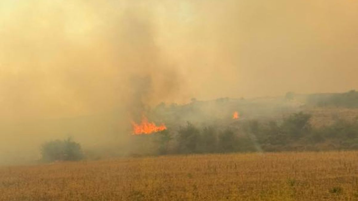 Ecologistas en Acción no descarta personarse como acusación particular por el incendio de La Mierla
