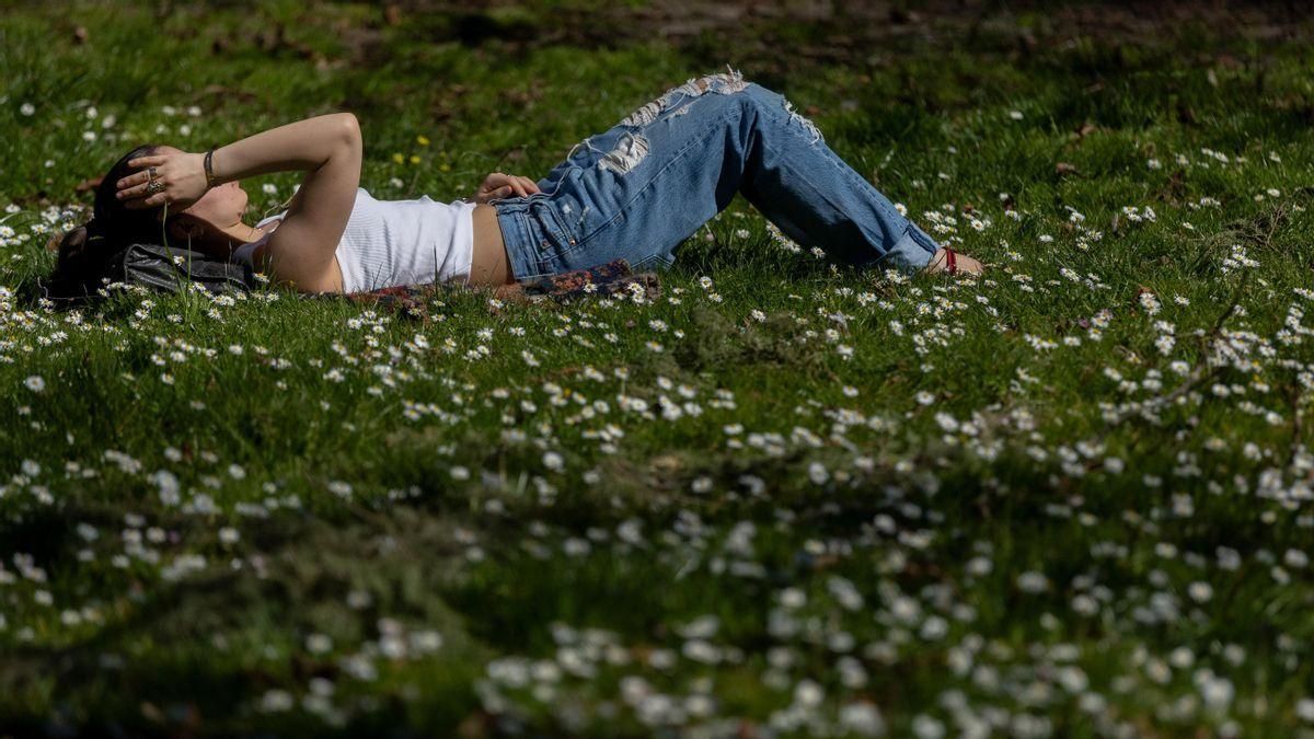 Cielo despejado y temperaturas máximas en ascenso en la región
