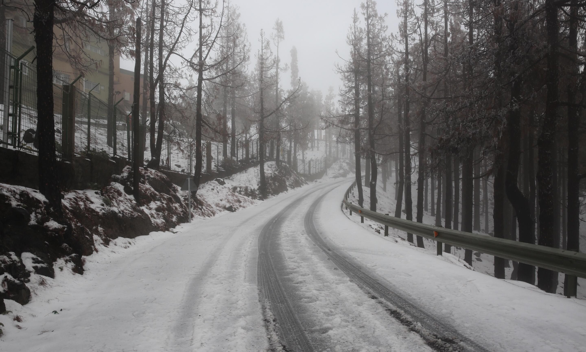 Alrededores del Pico de Las Nieves cubiertos de nieve