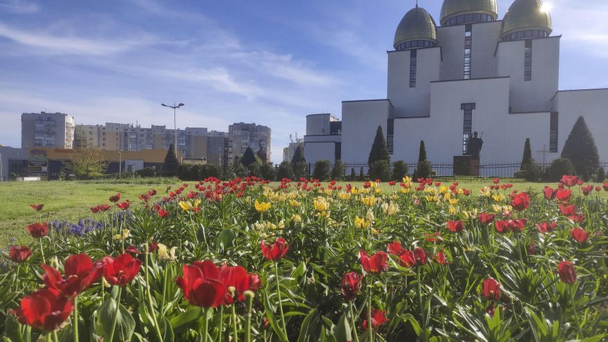 Tulipanes y esperanza: la naturaleza ayuda a ucranianos a soportar la guerra