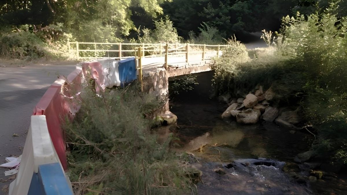 El estrecho y peligroso puente sobre el río Tejeira en la LE-5225 que la Diputación aún no ha podido sustituir.