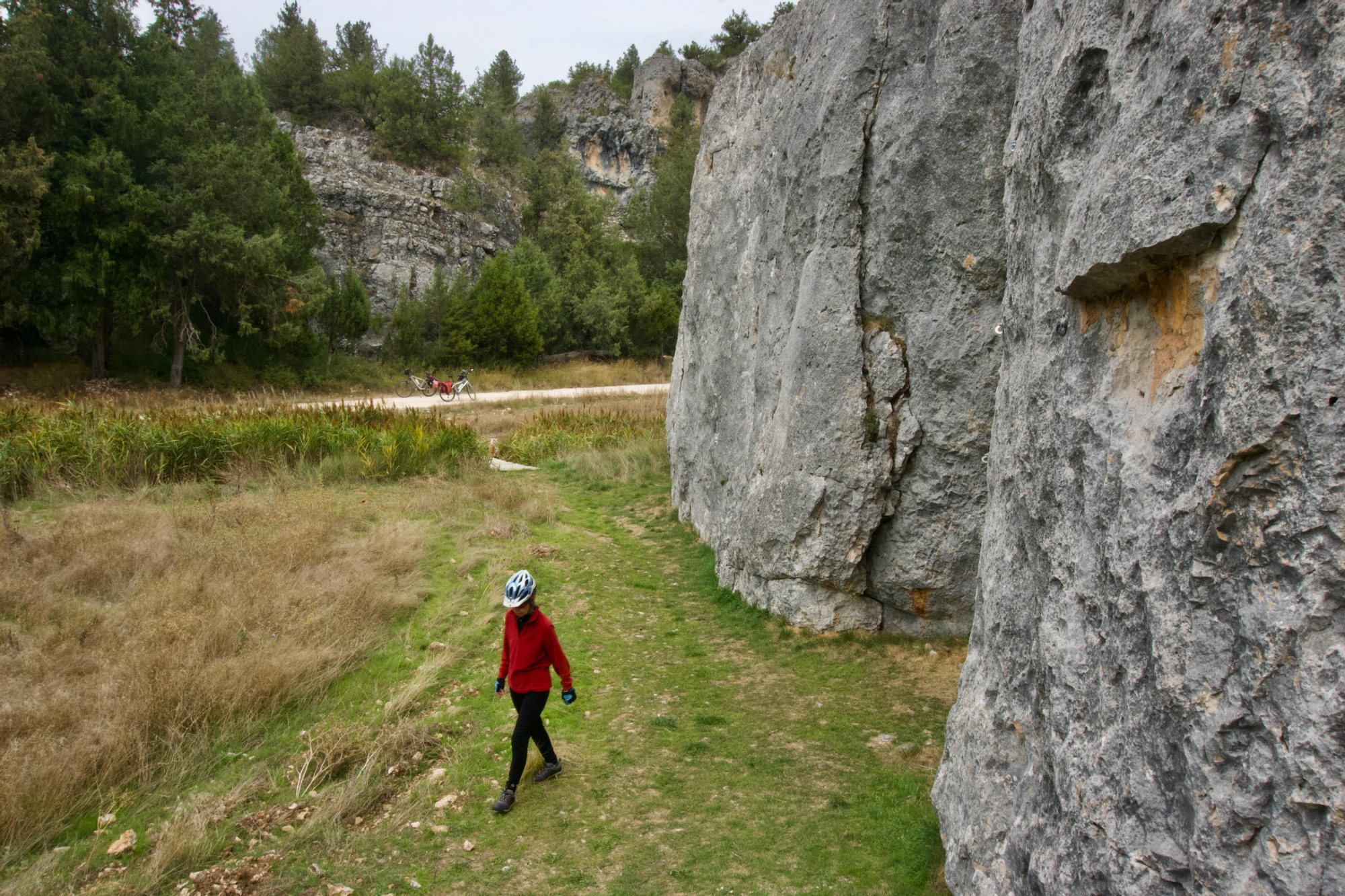 Hoz de Valdenebro