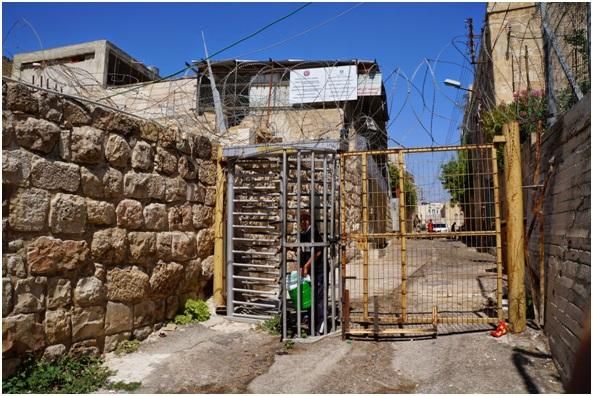 Imágenes captadas por Cristina Brito durante su estancia en Palestina.