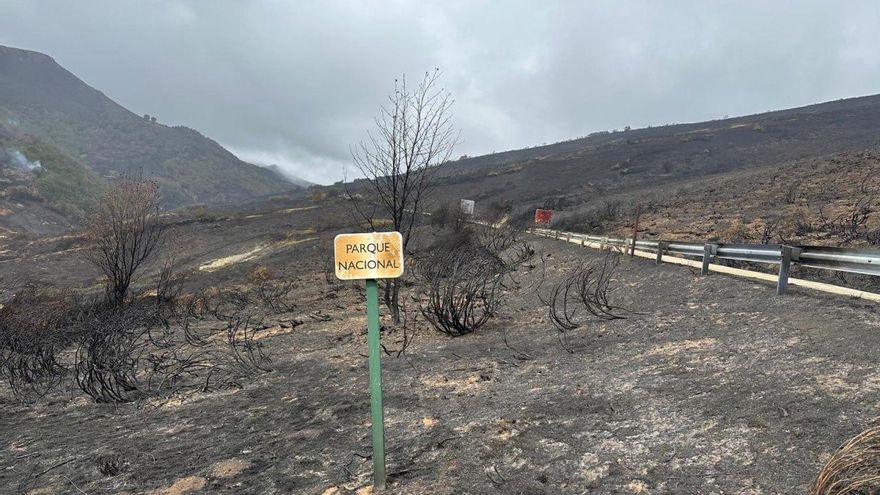 La Junta compró por "dotación escasa" dos 'Pick Up' en julio contra los incendios en Picos de Europa, que arrasaron 3.000 hectáreas