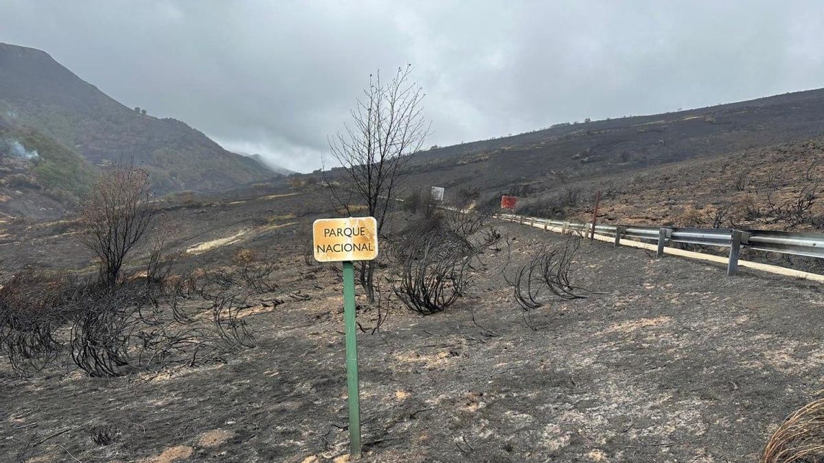 La Junta compró por "dotación escasa" dos 'Pick Up' en julio contra los incendios en Picos de Europa, que arrasaron 3.000 hectáreas