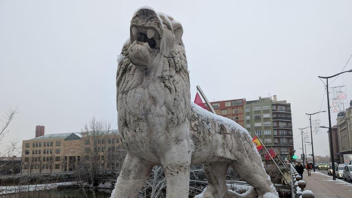 Un León bajo la nieve