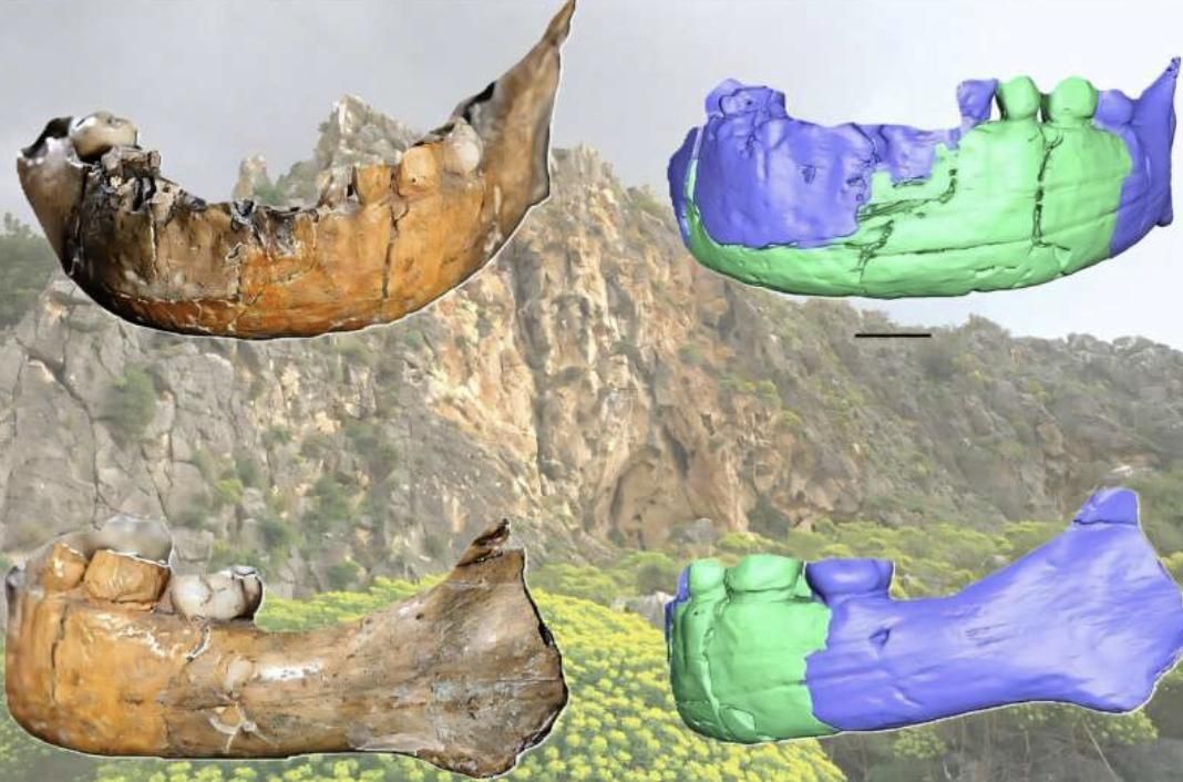 Um estudo de Bastien Bouvier, publicado na revista L'Anthropologie, analisou a estrutura do crânio usando tecnologia de reconstrução 3D.