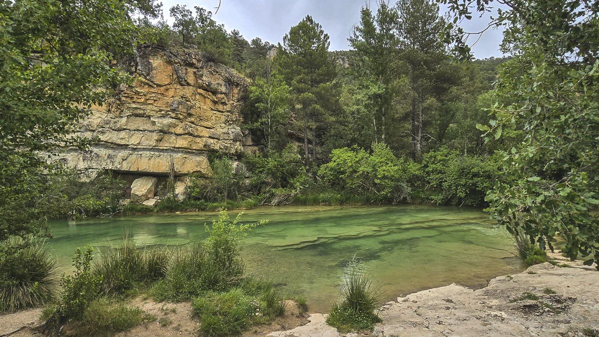 El Parque Natural del Alto Tajo cumple 25 años: ejemplo conservación y motor de territorio