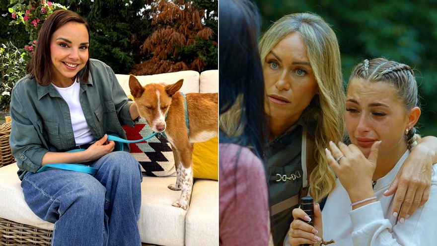'Dog House' (12.8%) vuelve con récord a RTVE y lidera frente al frío estreno de 'El camino de la verdad' (7.1%) de Telecinco
