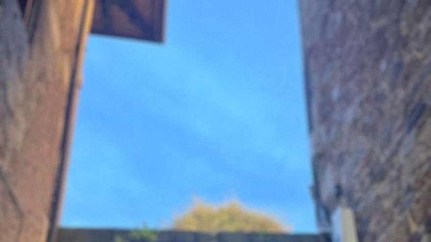 June Fernández: "El peor modelo de gestación subrogada es el que apela a la generosidad de las mujeres"