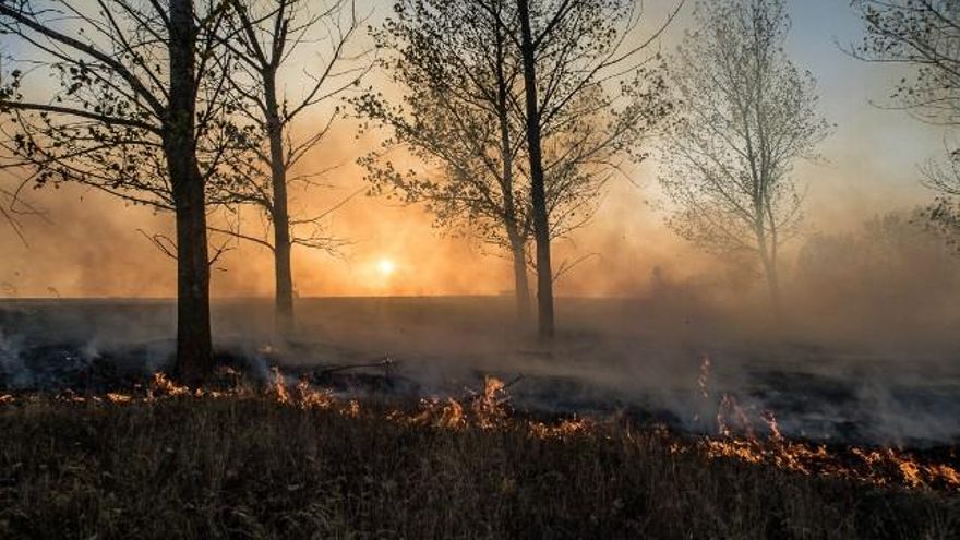Incendio forestal en Malillos (Santas Martas). / Foto: Bomberos de León