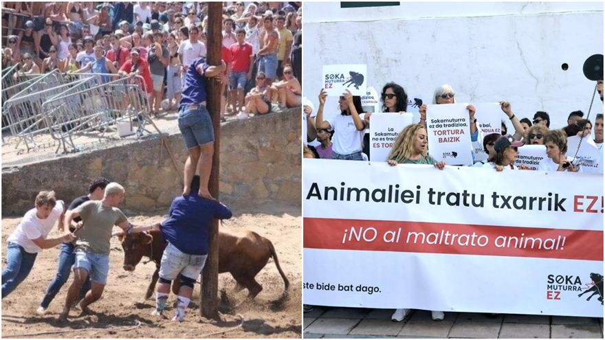 La sokamuturra divide a los vecinos de Getxo: el "futuro de la tradición y ganadería" contra el "maltrato animal"