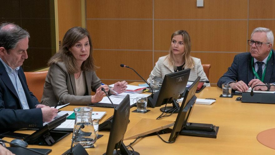 Euskadi se queda sin presidenta de Competencia y admite dificultades para buscar un relevo