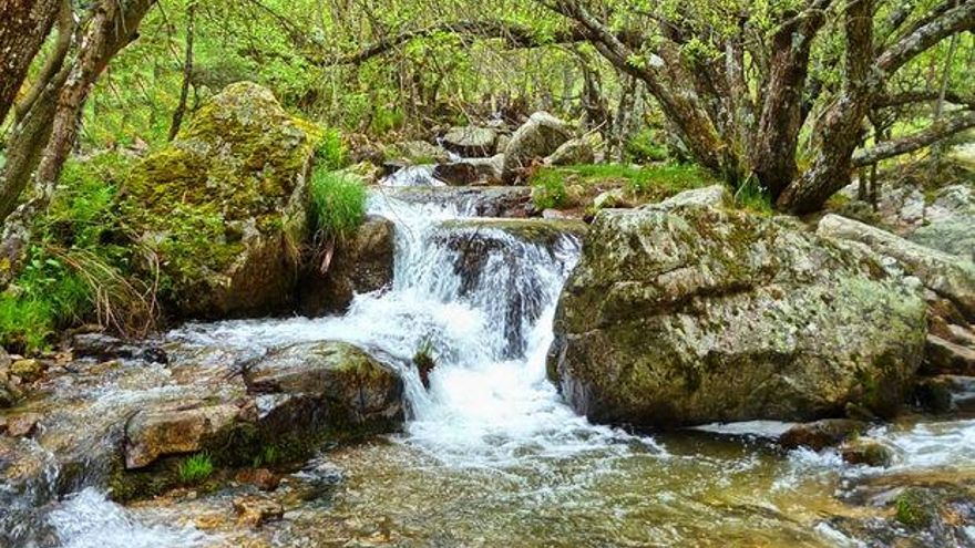 Cinco rutas de senderismo en Madrid que puedes hacer en 2025
