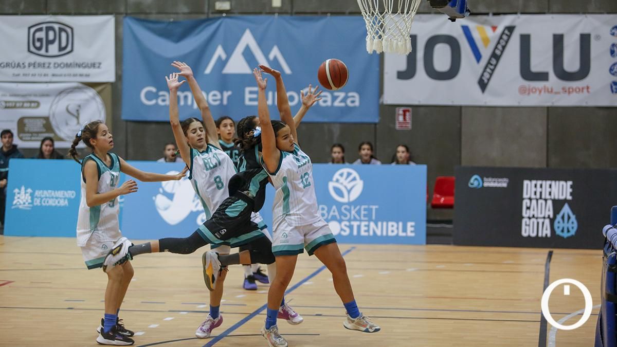 Finales del campeonato de andalucía de minibasket femenino