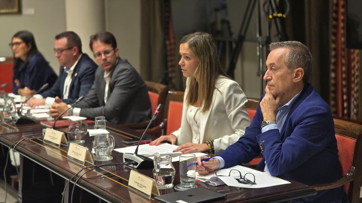 La Palma pide en el Parlamento una aplicación “sensible y diferenciada” del decreto canario y reclama al Estado la exoneración de las reglas fiscales