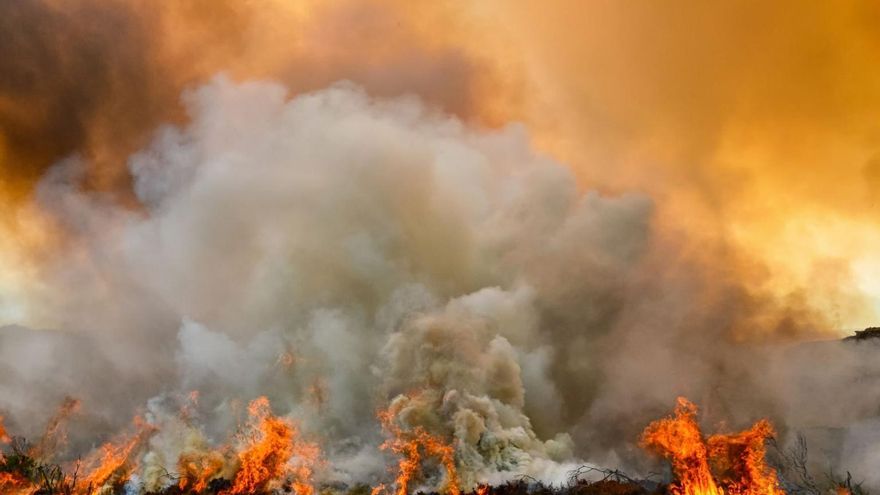 El calor extremo y los incendios que multiplica el cambio climático empeoran la contaminación del aire que respiramos