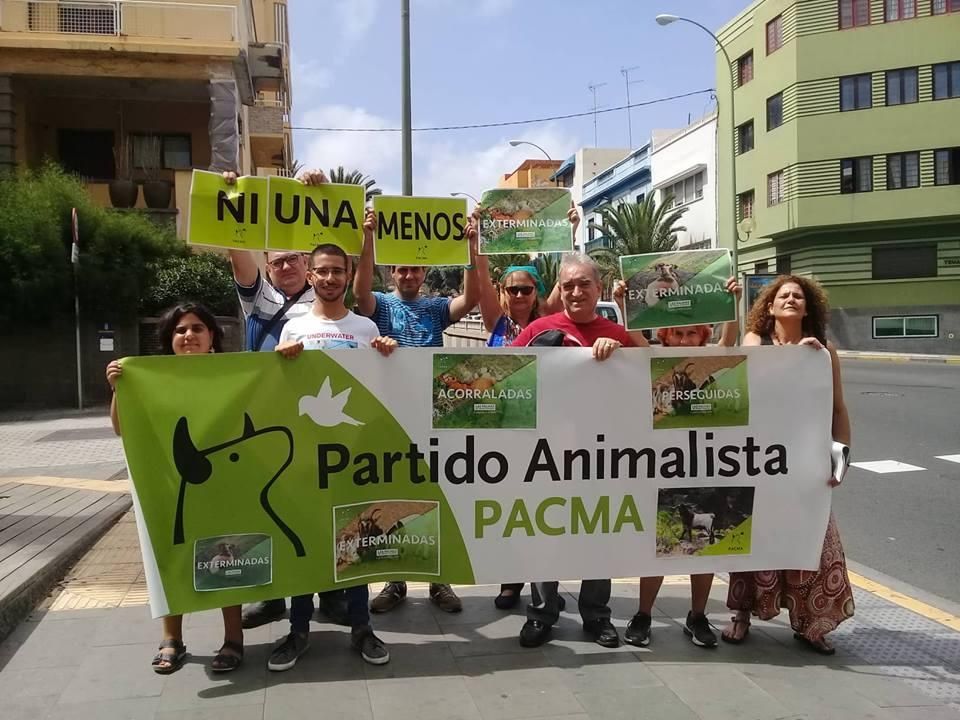 Miembros del partido Pacma concentrados ante el Cabildo de Gran Canaria para protestar por la gestión del ganado silvestre en la isla.