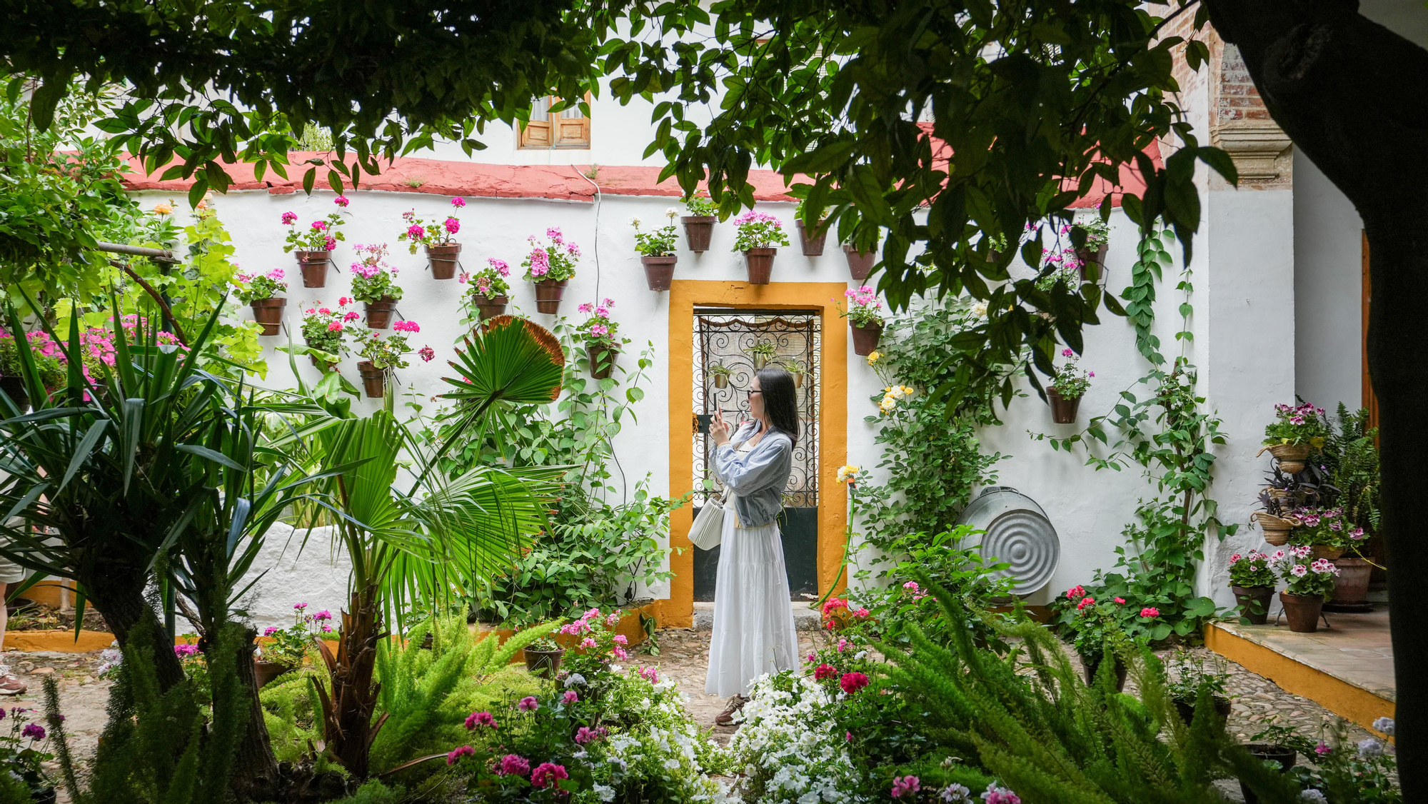Santa Marta, 10