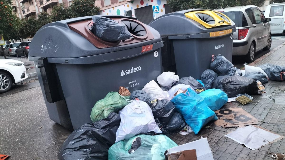 Bolsas de basura fuera de contenedores en la calle Doña Berenguela esta semana.