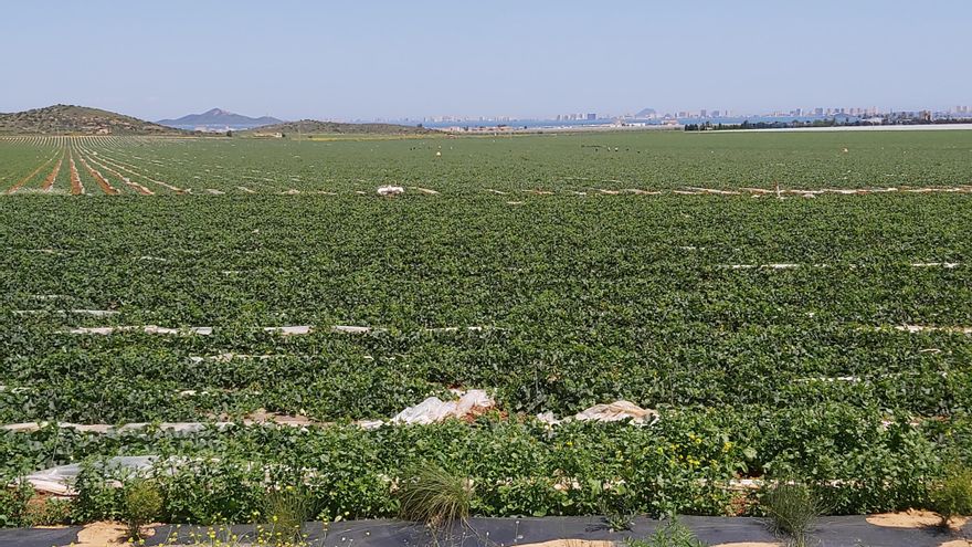La reforma de la ley del Mar Menor de PP y Vox alarma a ecologistas y expertos: "Favorece intereses empresariales"