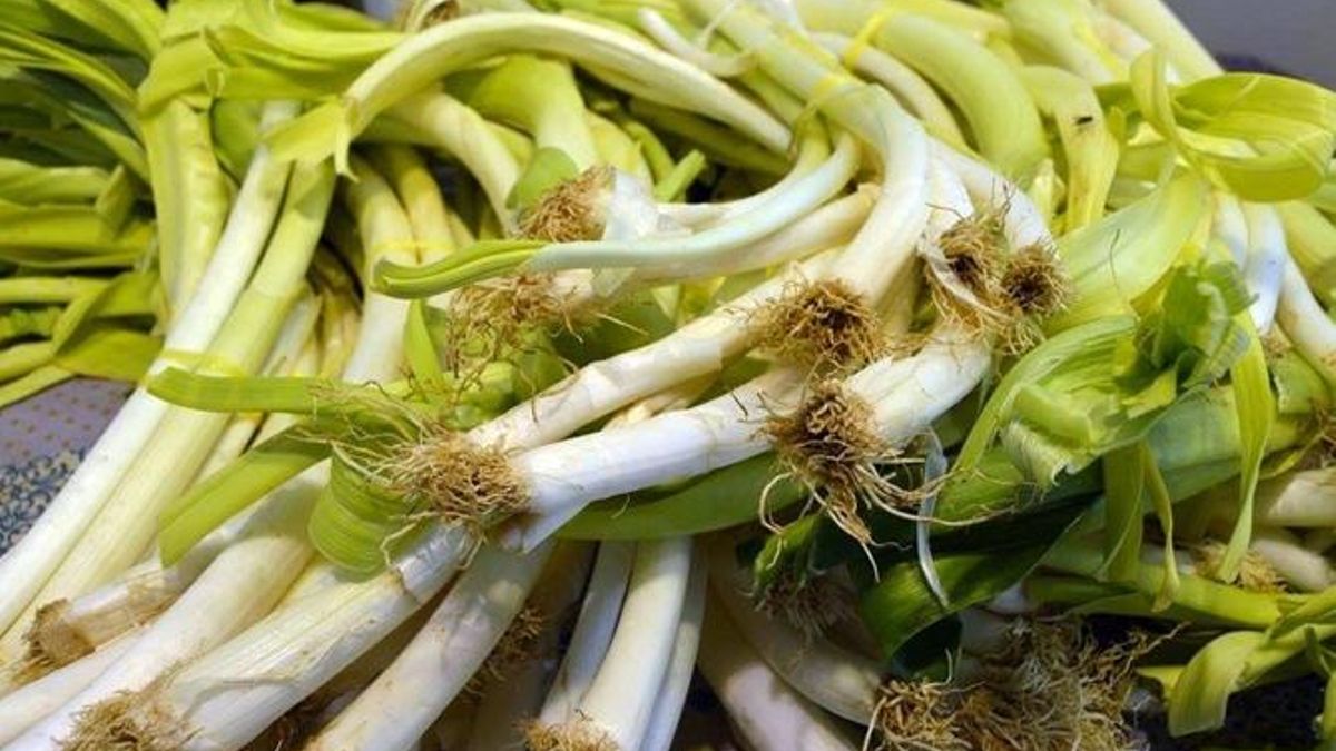 Sahagún celebra este fin de semana la Feria de San Simón con gastronomía, artesanía y tradiciones