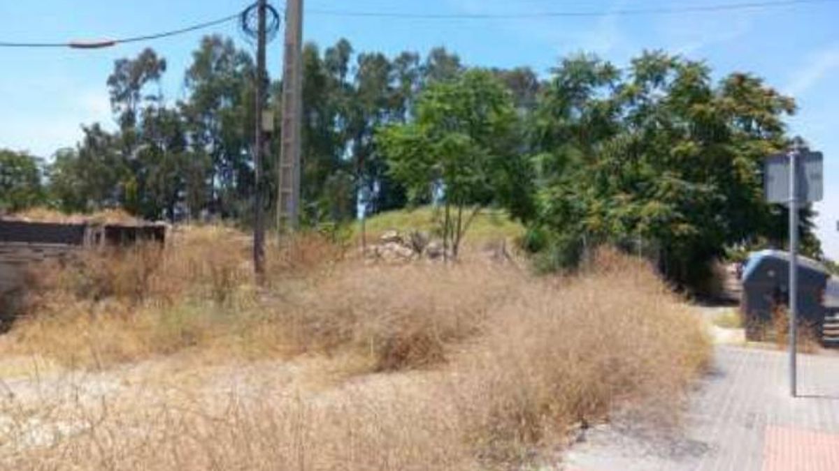 Fotografía de la zona a desafectar en sentido de avance de la Cañada.