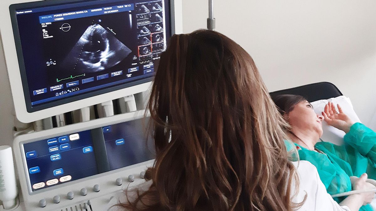 Cantabria defiende el Plan Europeo de Salud Cardiovascular, una "oportunidad única" para la prevención