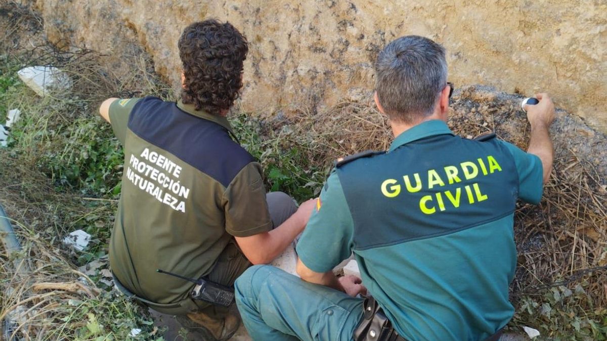 Investigación de la Guardia Civil